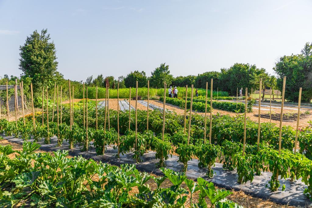 La Posa Degli Agri Panzió Legnaro Kültér fotó